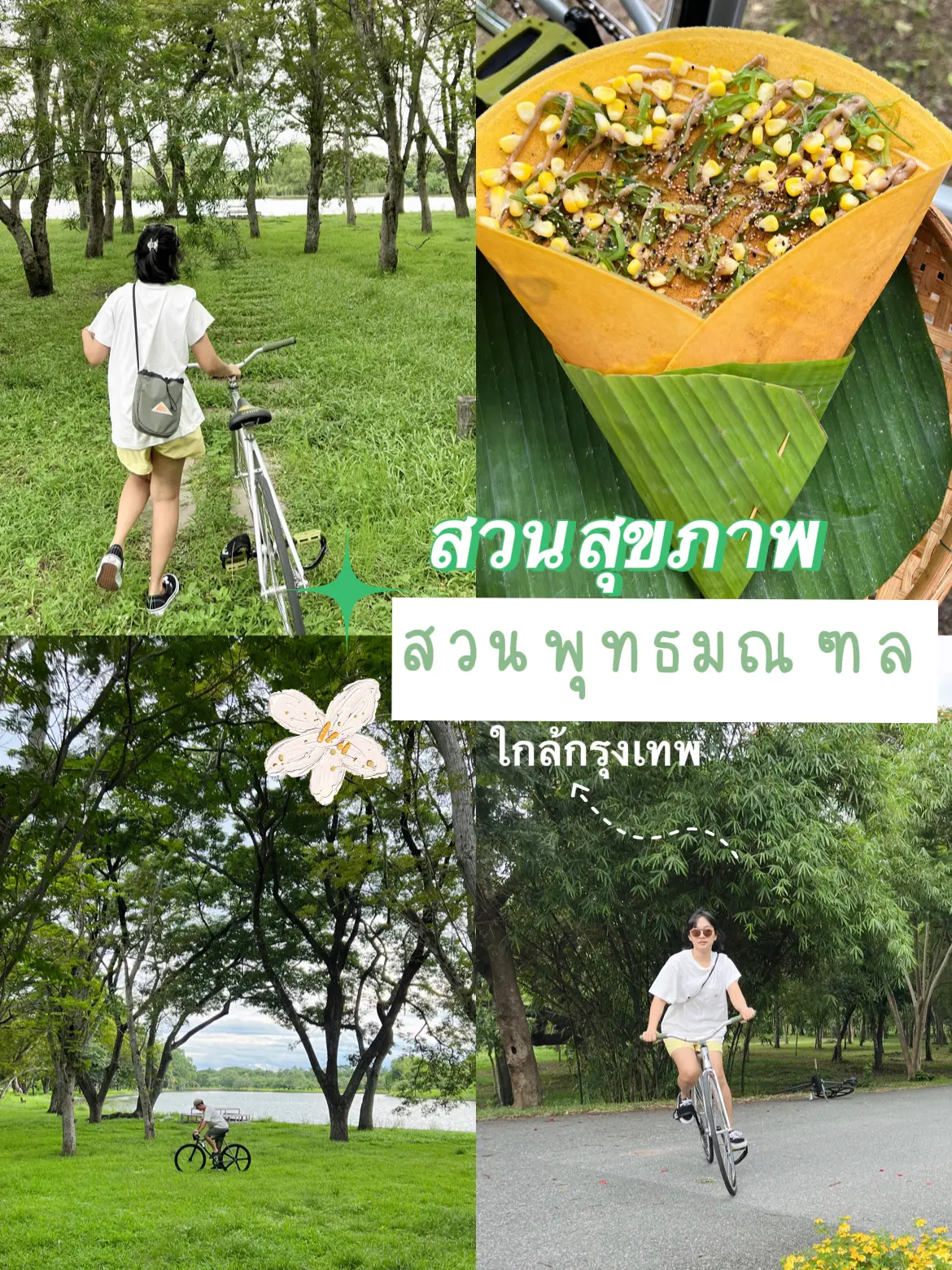 พาปั่นจักรยาน ไปกินเครปเพื่อสุขภาพ ใกล้กรุงเทพ สวนพุทธมณฑล 🌳 แกลเลอรีที่โพสต์โดย Beafws Lemon8 3108