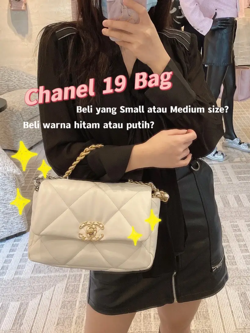 Small Size White Chanel 19 Bag 