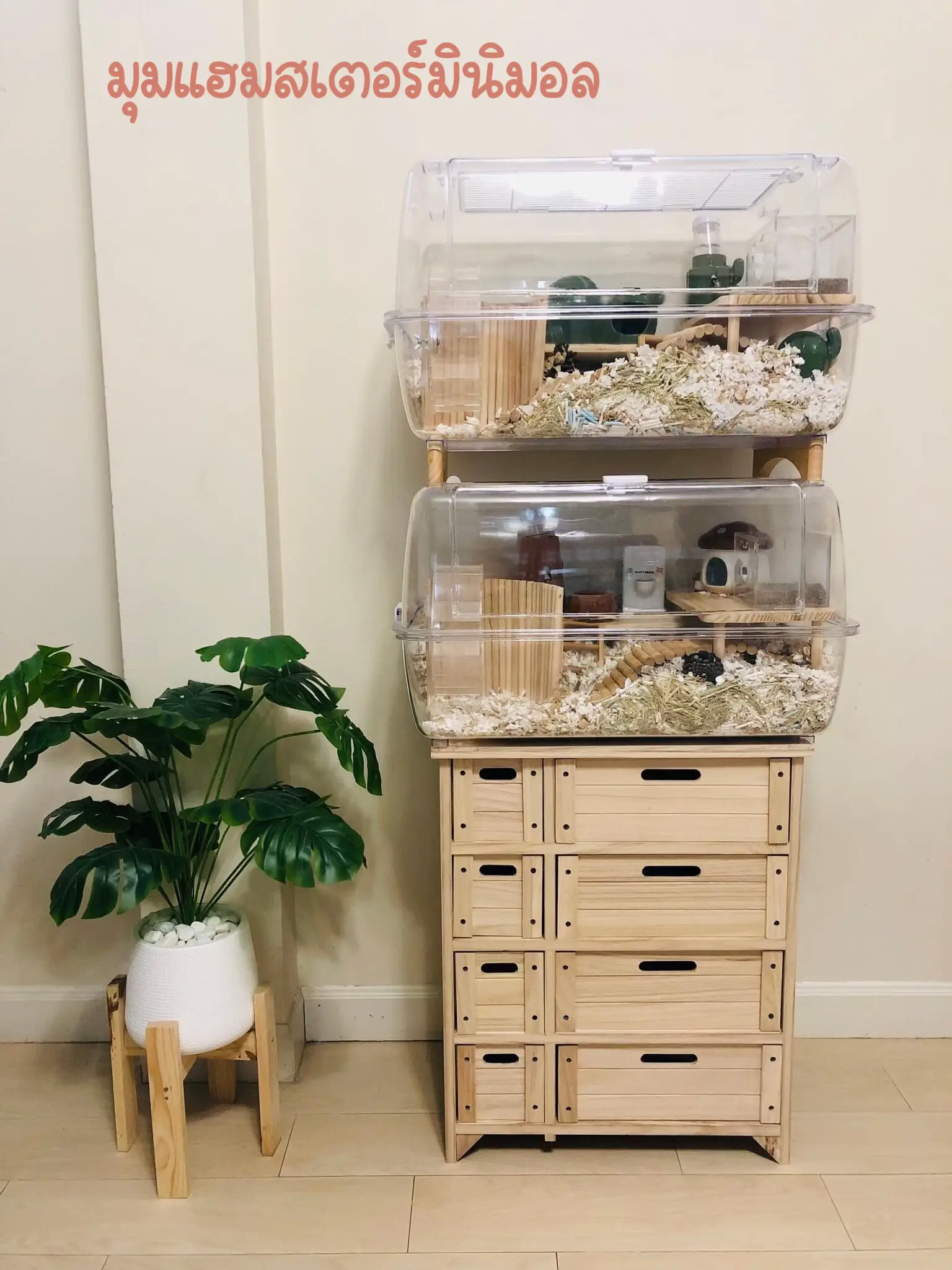 Minimalist hamster cage sale