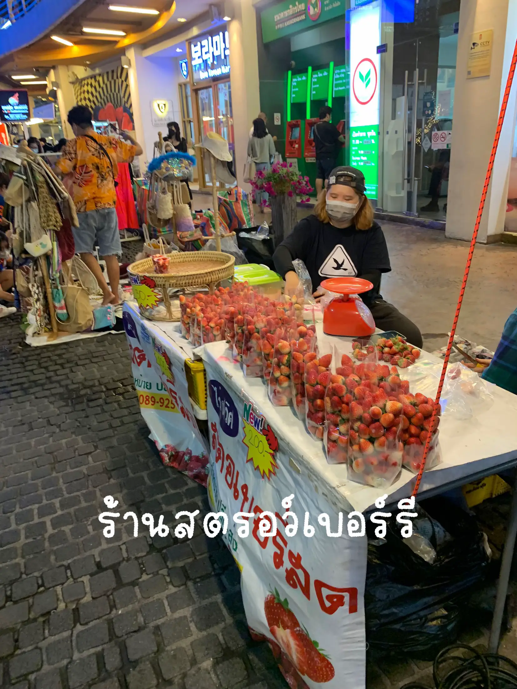 พาไปลุยลานเบียร์เมเจอร์ จะมีอะไรน่าซื้อน่ากินบ้างนะะะ? | แกลเลอรีที่ ...