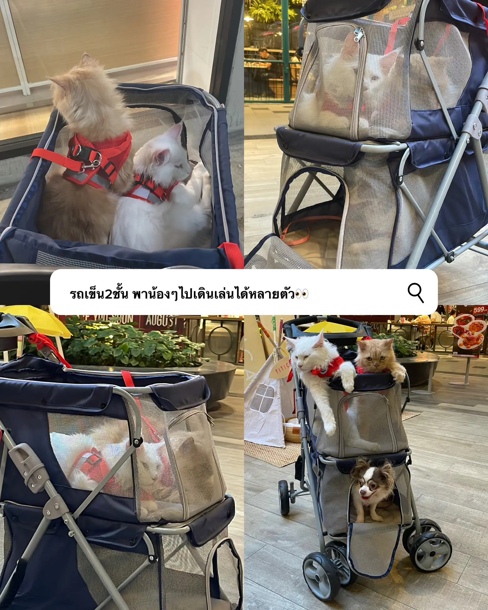 Cartimar pet outlet stroller