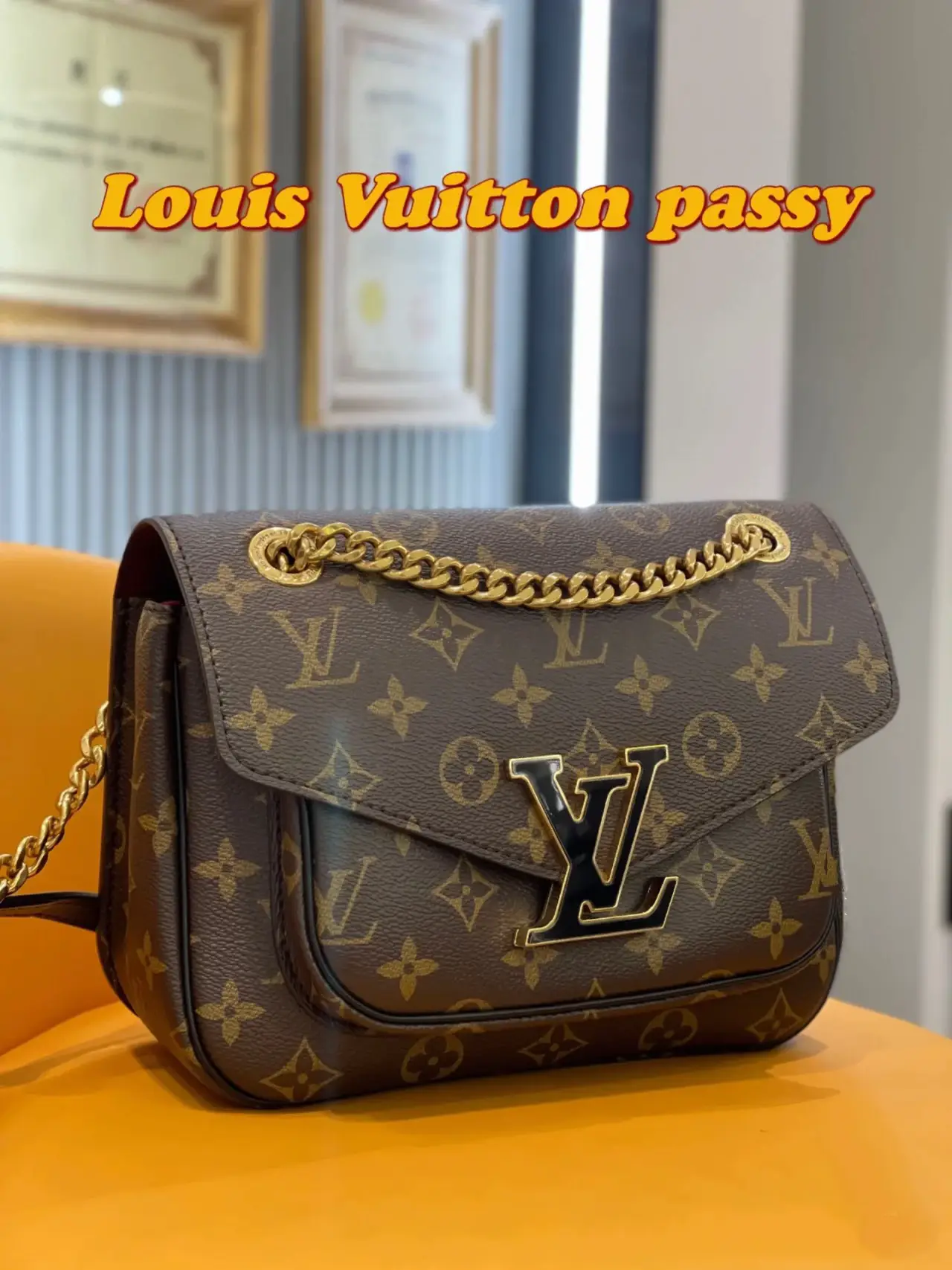 Honest LV Passy Bag Review 