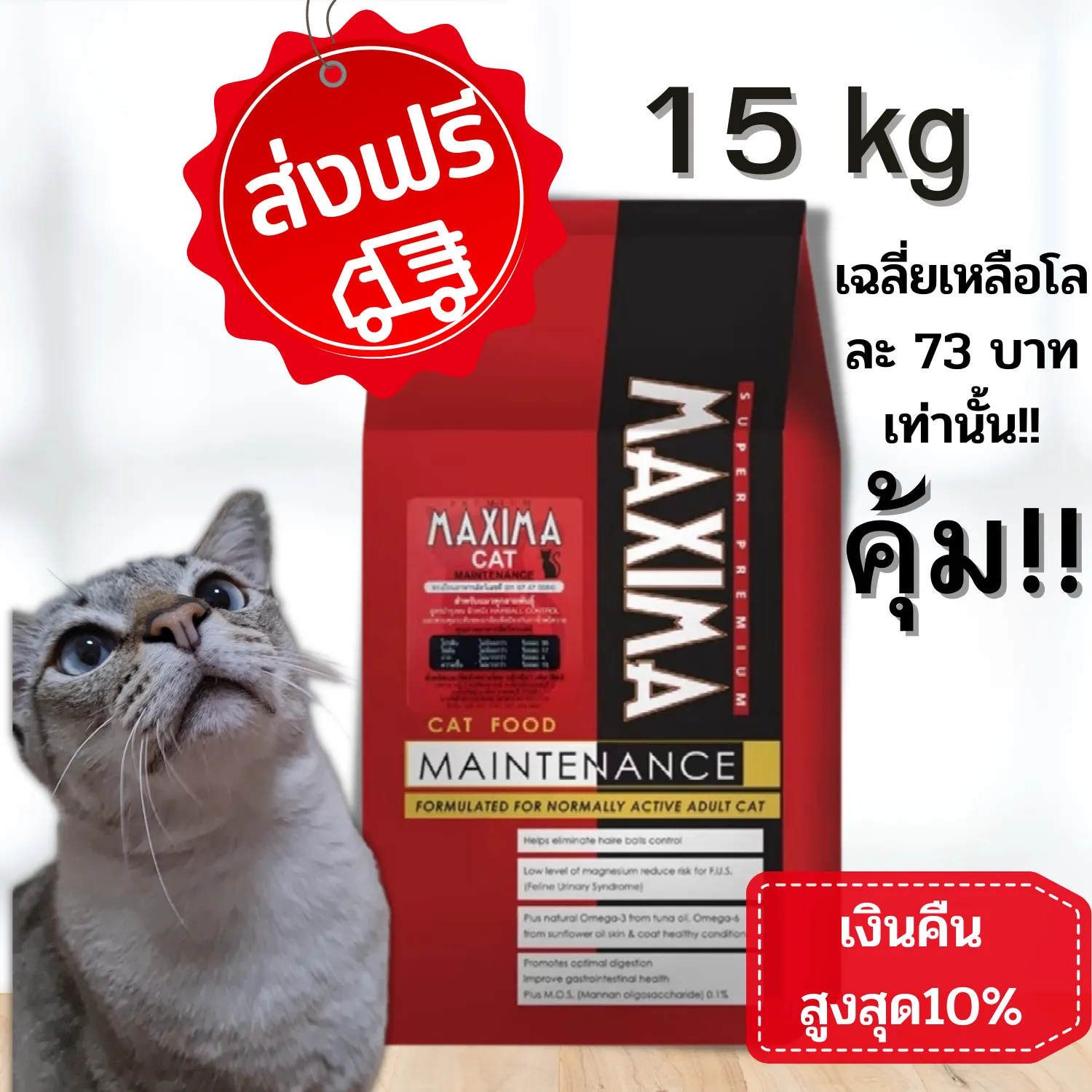 MAXIMA Super Premium Cat Food at Tangible Prices Gallery