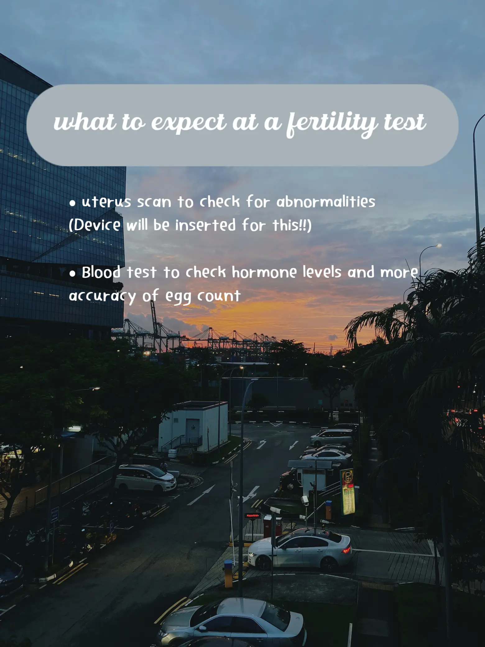 Fertility Test Jb Lemon8 Search