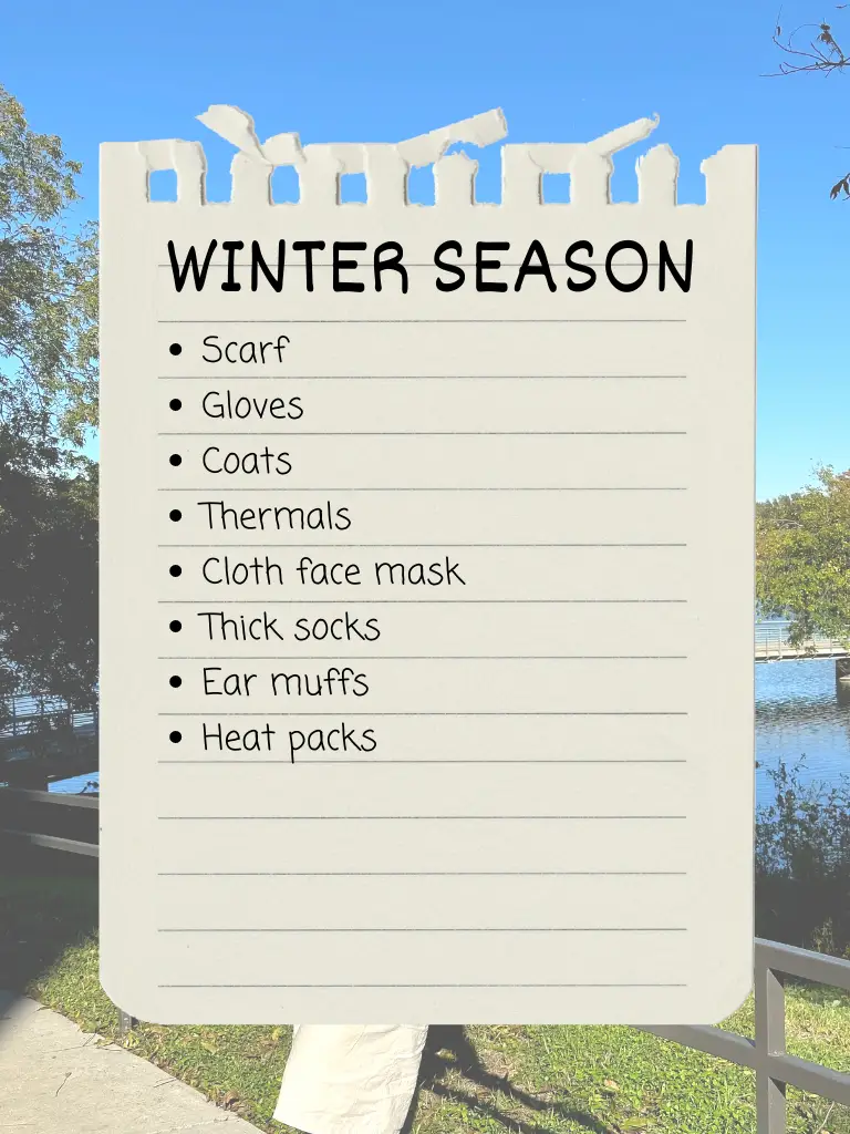⋆ The Ultimate Winter Packing Checklist ⋆