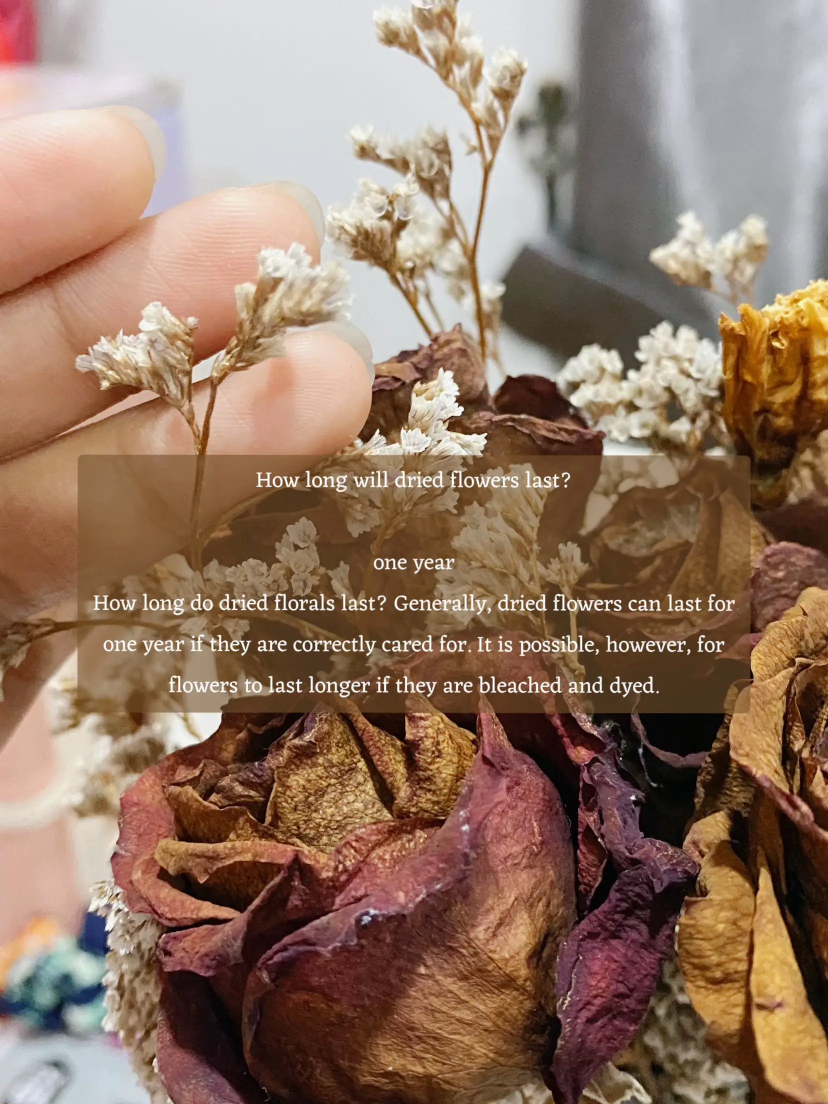 How Long do Dried Flowers Last?, How to Make Them Last Longer