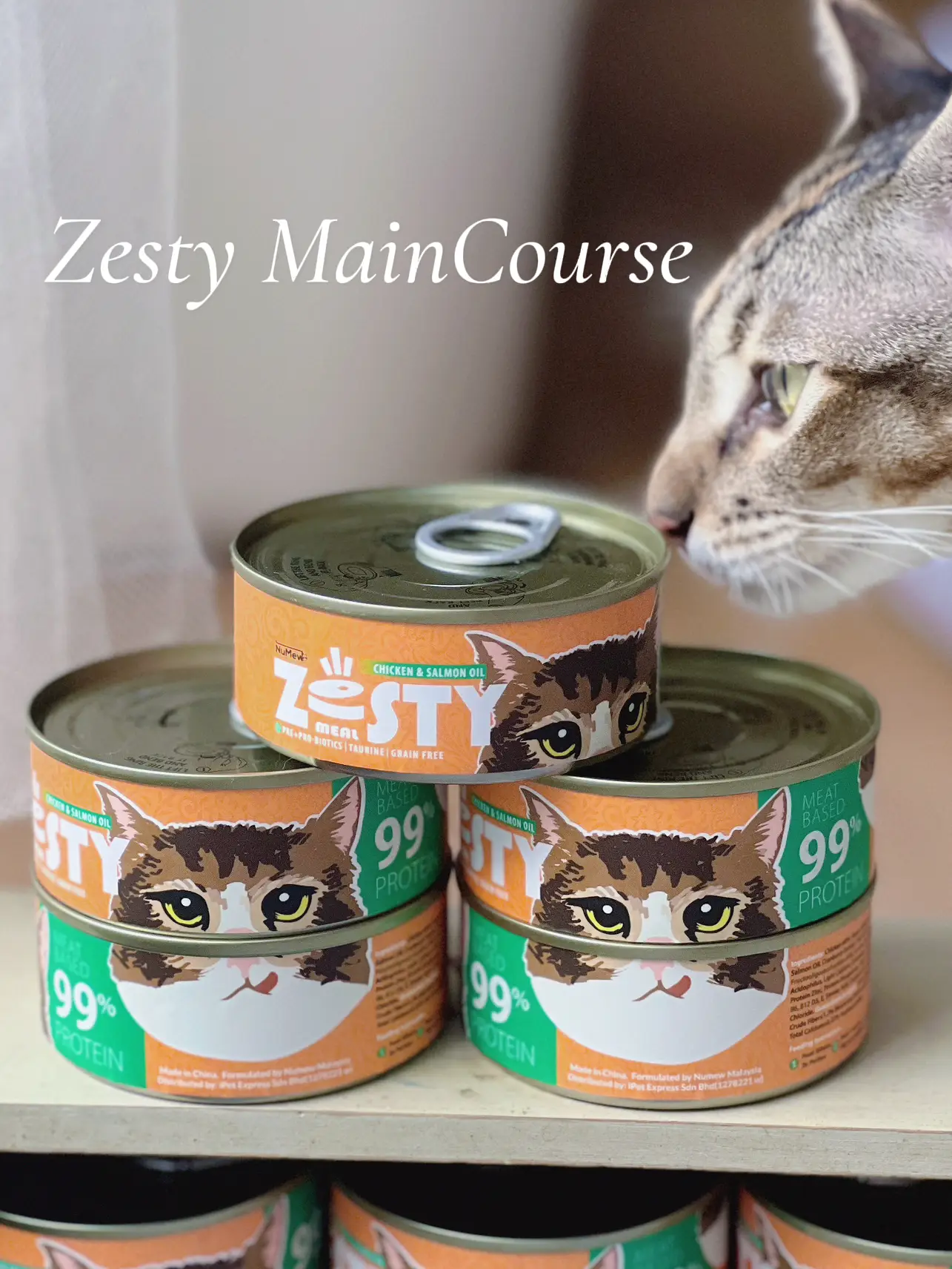 Unboxing Zesty Main Course Cat Food Canned