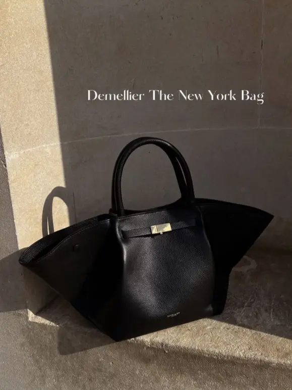 Bag Organizer for the DeMellier New York Tote