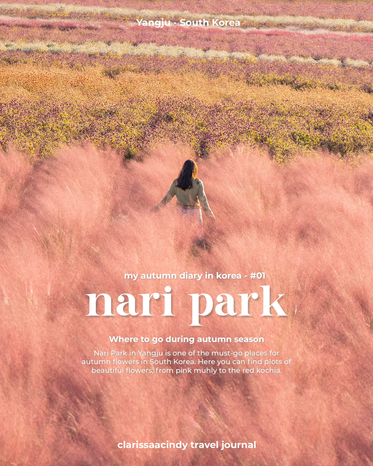 🍁 Have a pink autumn at Nari Park, Korea Travel, Gallery posted by  clarissaacindy