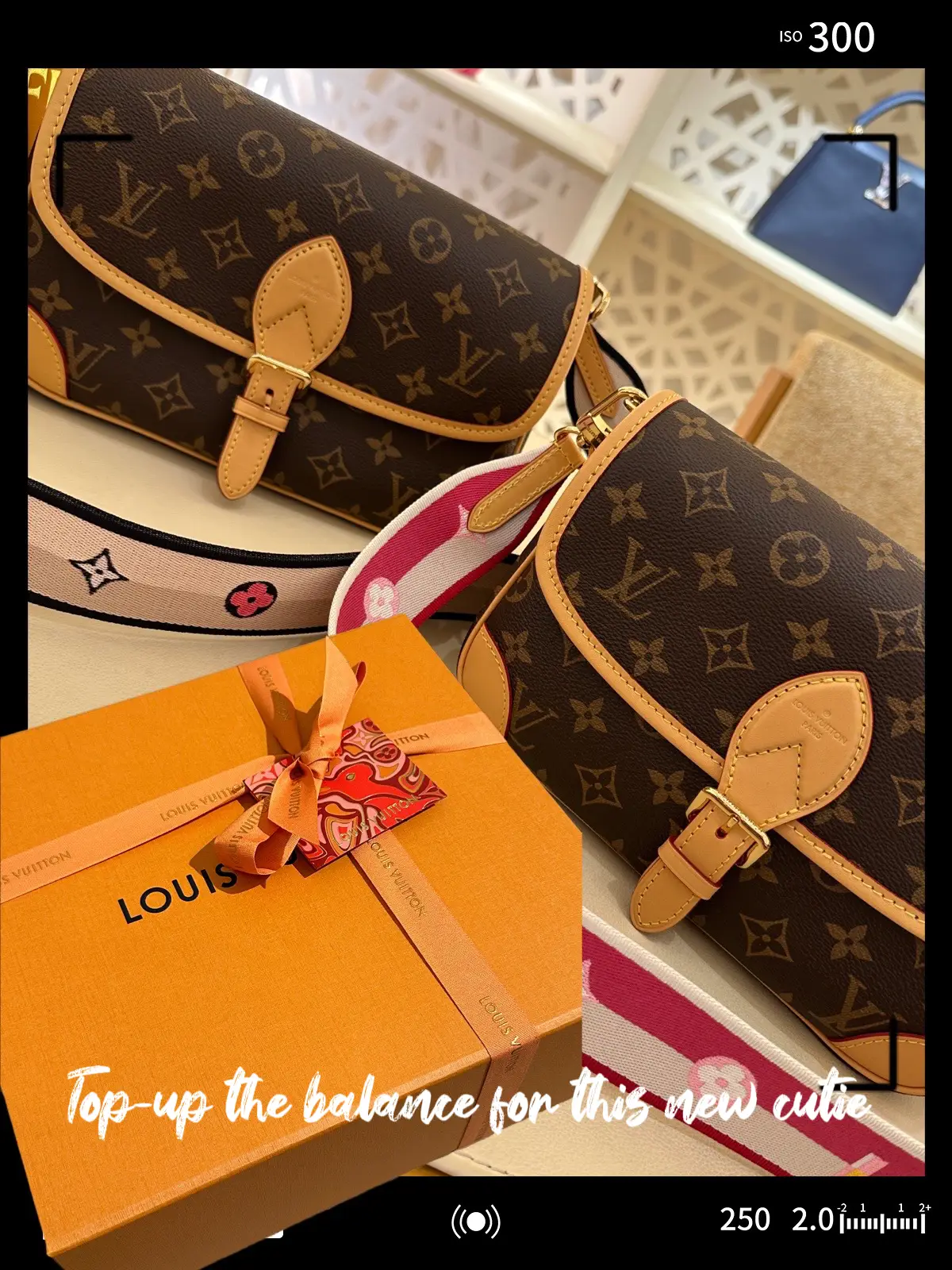 LOUIS VUITTON DIANE BAG? is Louis Vuitton worth it anymore? 