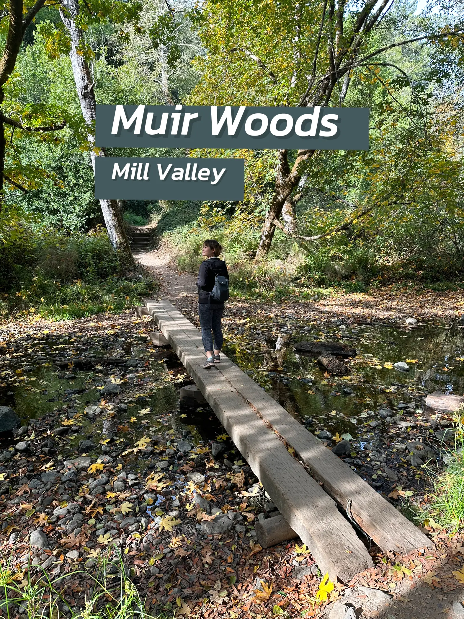 🎡San Francisco Bay Area Trip 🚗 Driving Edition🚗 Gallery posted by tonnambenya Lemon8