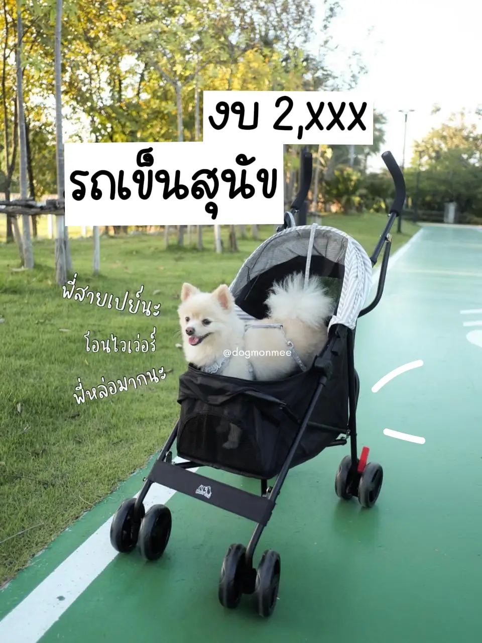 Statement 2, xxx Dog Cart Minimalist Easy to Carry 🐶 | Gallery posted by  มันนี่หมี่รีวิว | Lemon8