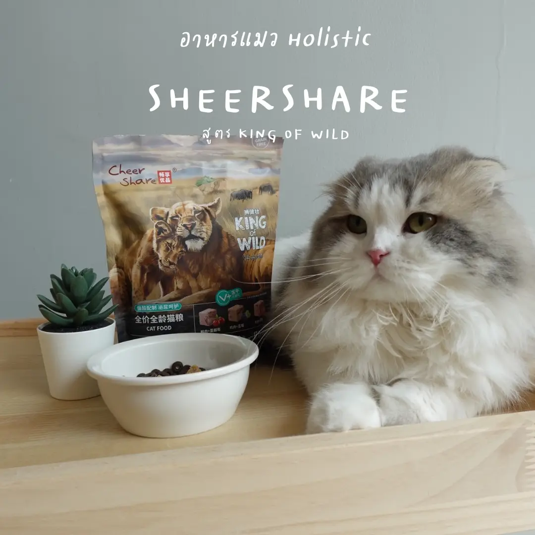 CheerShare brand holistic cat food review Gallery posted by