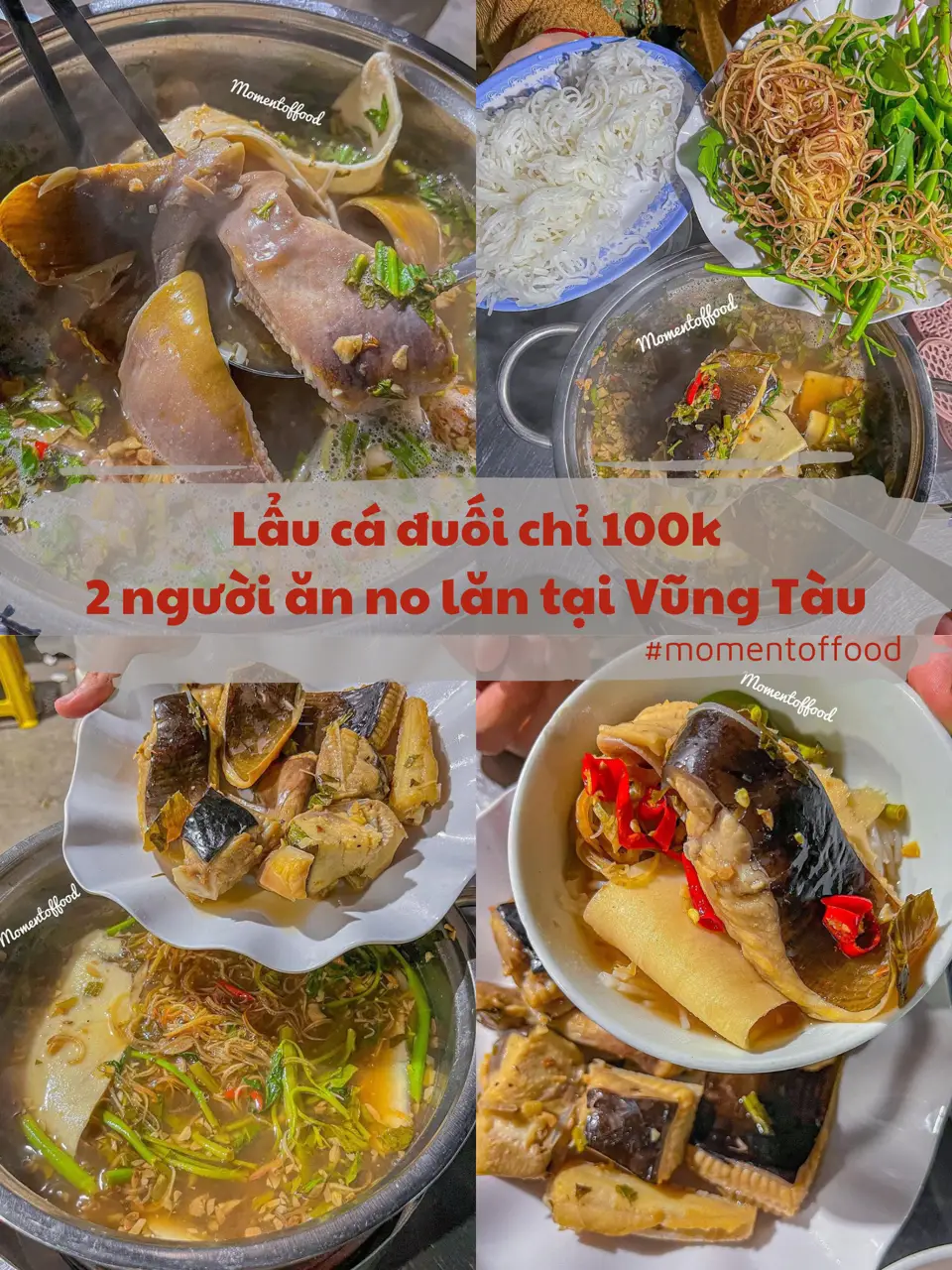 LẨU CÁ ĐUỐI CHỈ 100K RẺ NHẤT VŨNG TÀU | Bộ sưu tập do Moment Of ...