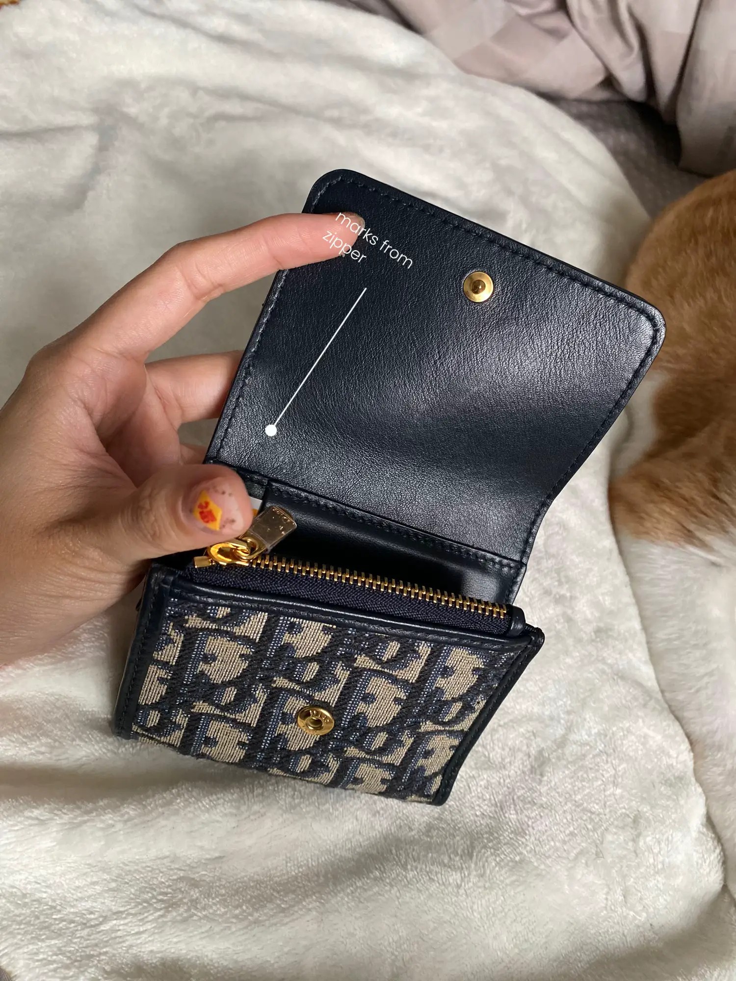 Dior Saddle Nano Pouch, Luxury, Bags & Wallets on Carousell