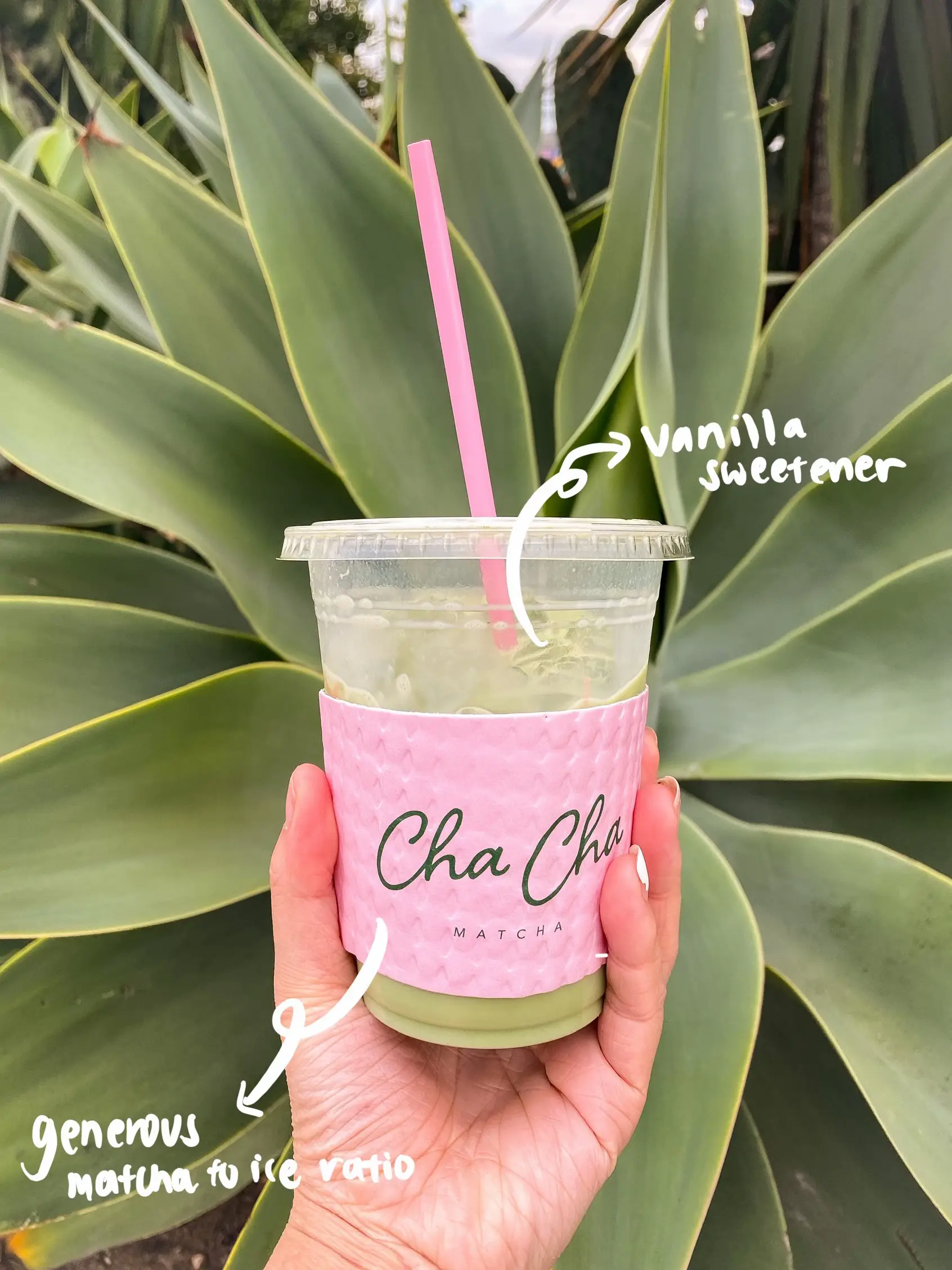 Cha Cha Matcha La Lemon8 Search