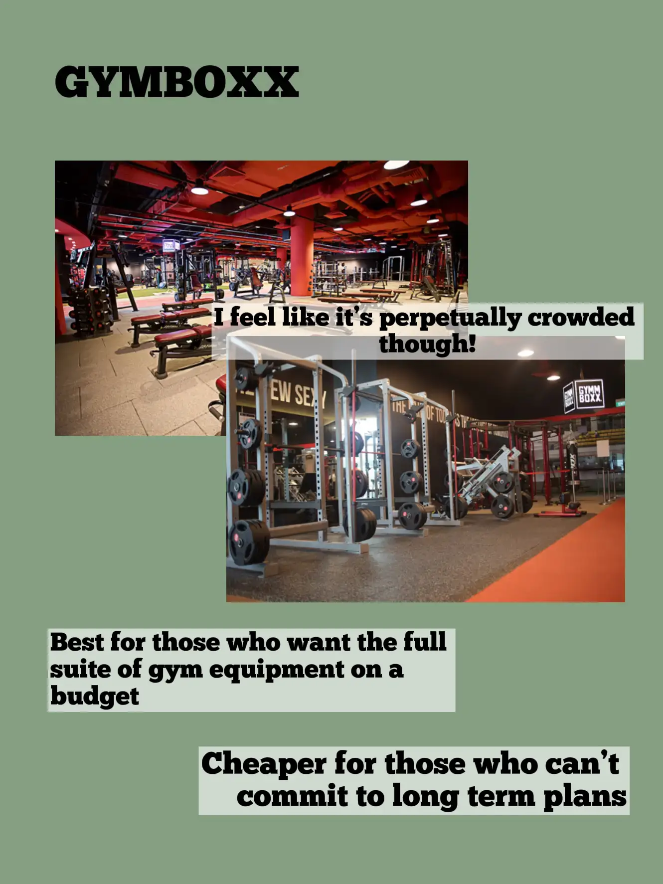 Which gyms are worth the 💵? | A REVIEW 🏋️‍♀️💦's images(2)