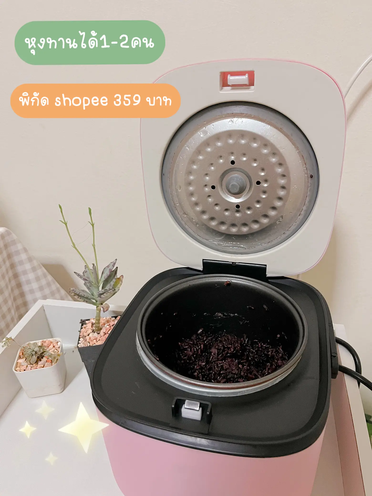 Mini Rice Cooker  Urban Outfitters Singapore