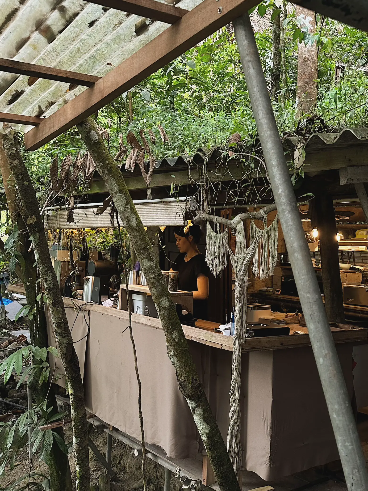 50mins from SG, a Treehouse Cafe in the Rainforest's images(2)