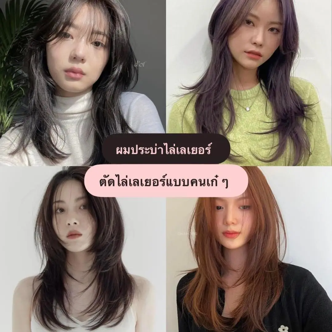 แจกไอเดียผมประบ่าไล่เลเยอร์🤎 | แกลเลอรีที่โพสต์โดย 𝙼𝚊𝚖𝚊♡︎𝚁𝚎𝚟𝚒𝚎𝚠ᴥ︎ | Lemon8