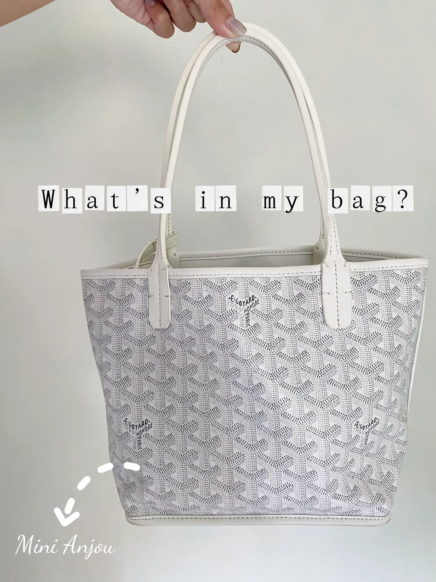 What's In My Bag?  Goyard Anjou Mini Bag 