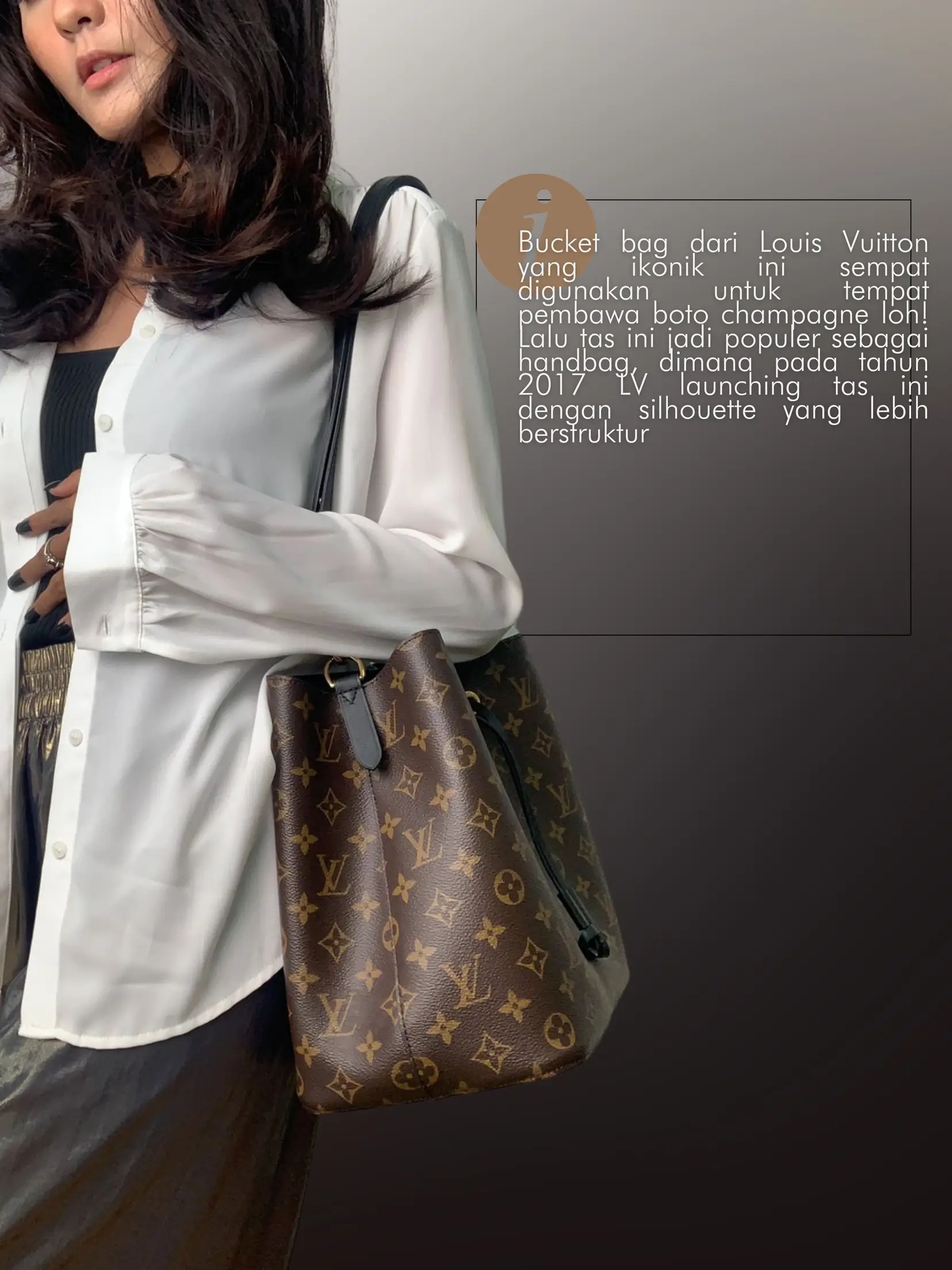 Louis Vuitton NeoNoe MM Bag in 2023
