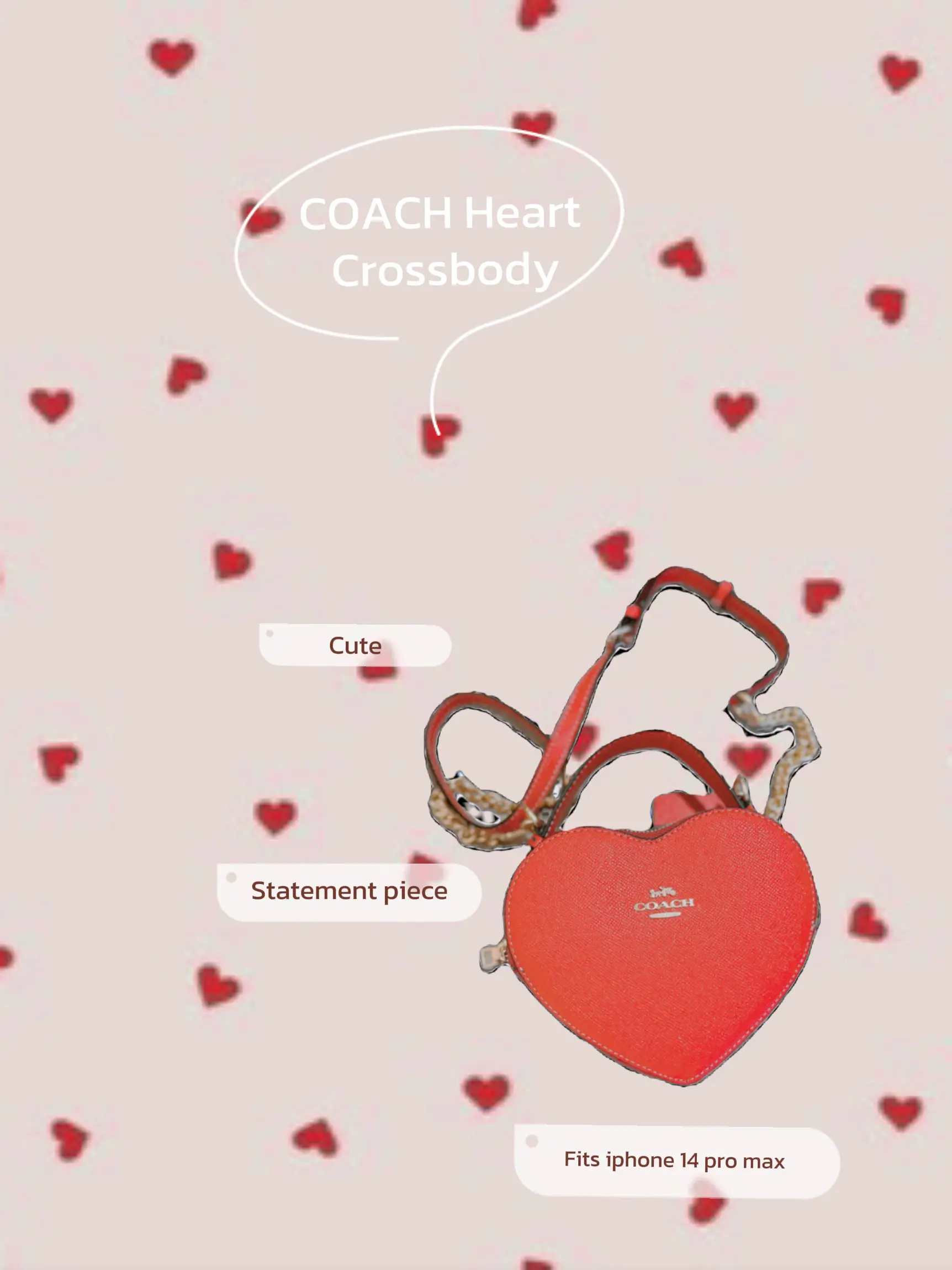 Coach Heart Crossbody 14