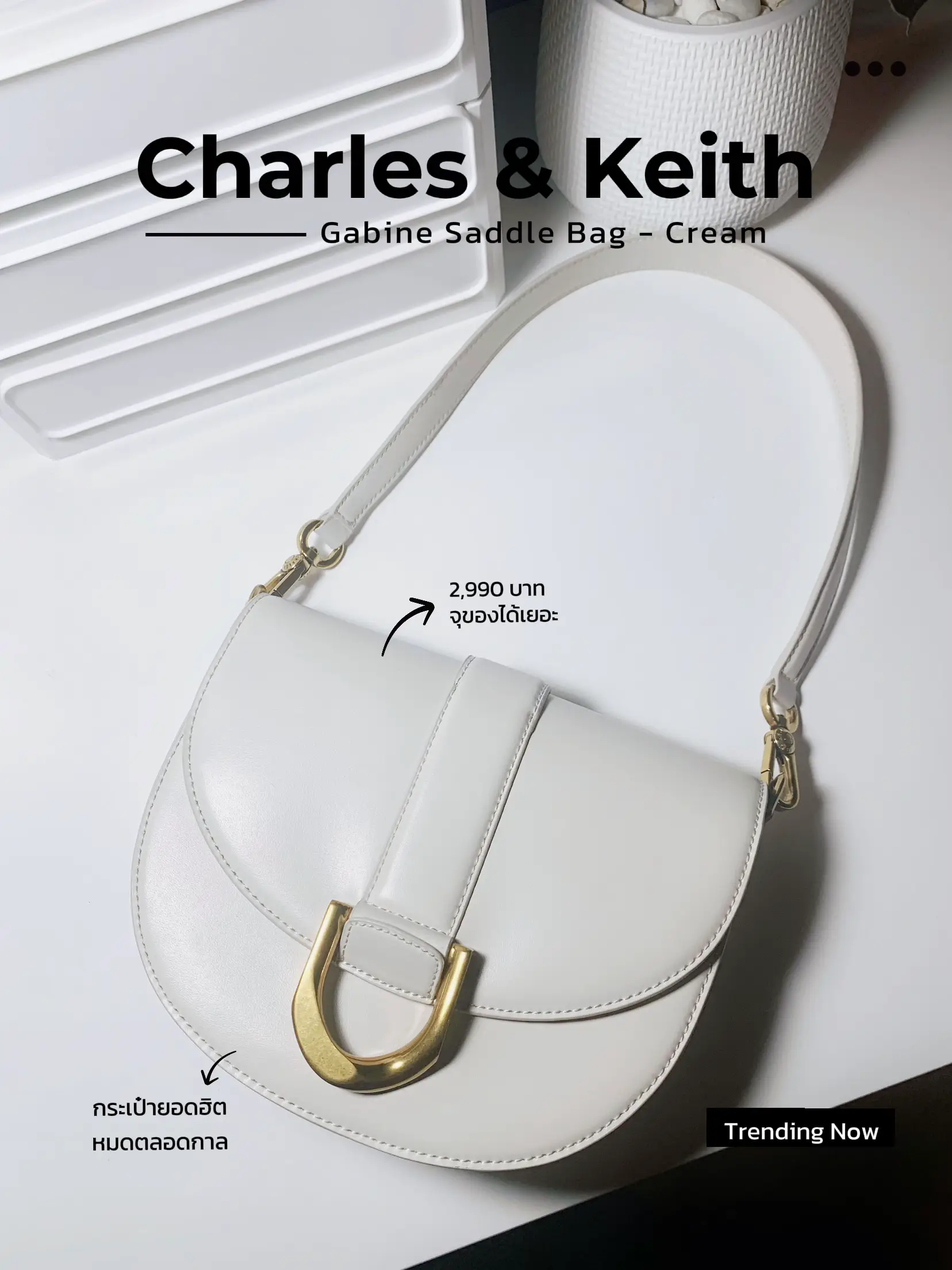 Charles & Keith Gabine Saddle Bag (Black) unboxing & review 