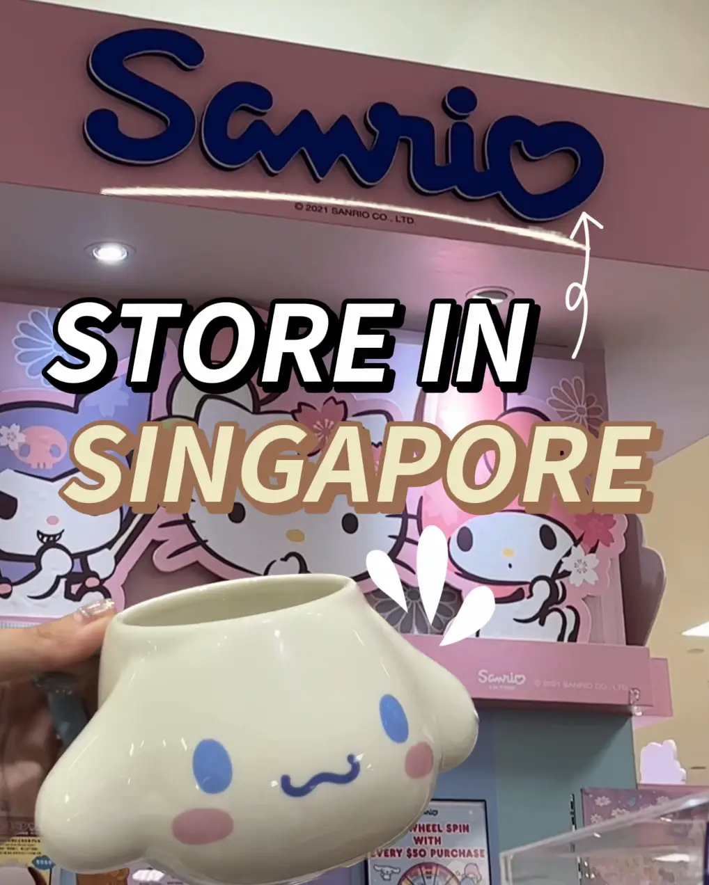 Sanrio Store Singapore