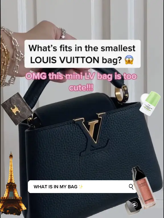 lv bag small