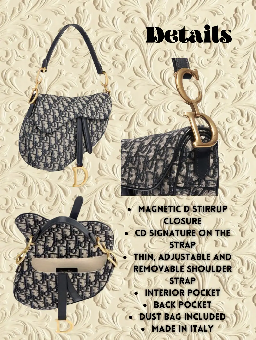 Dior Saddle Bag Review Galeri diposting oleh Nadia