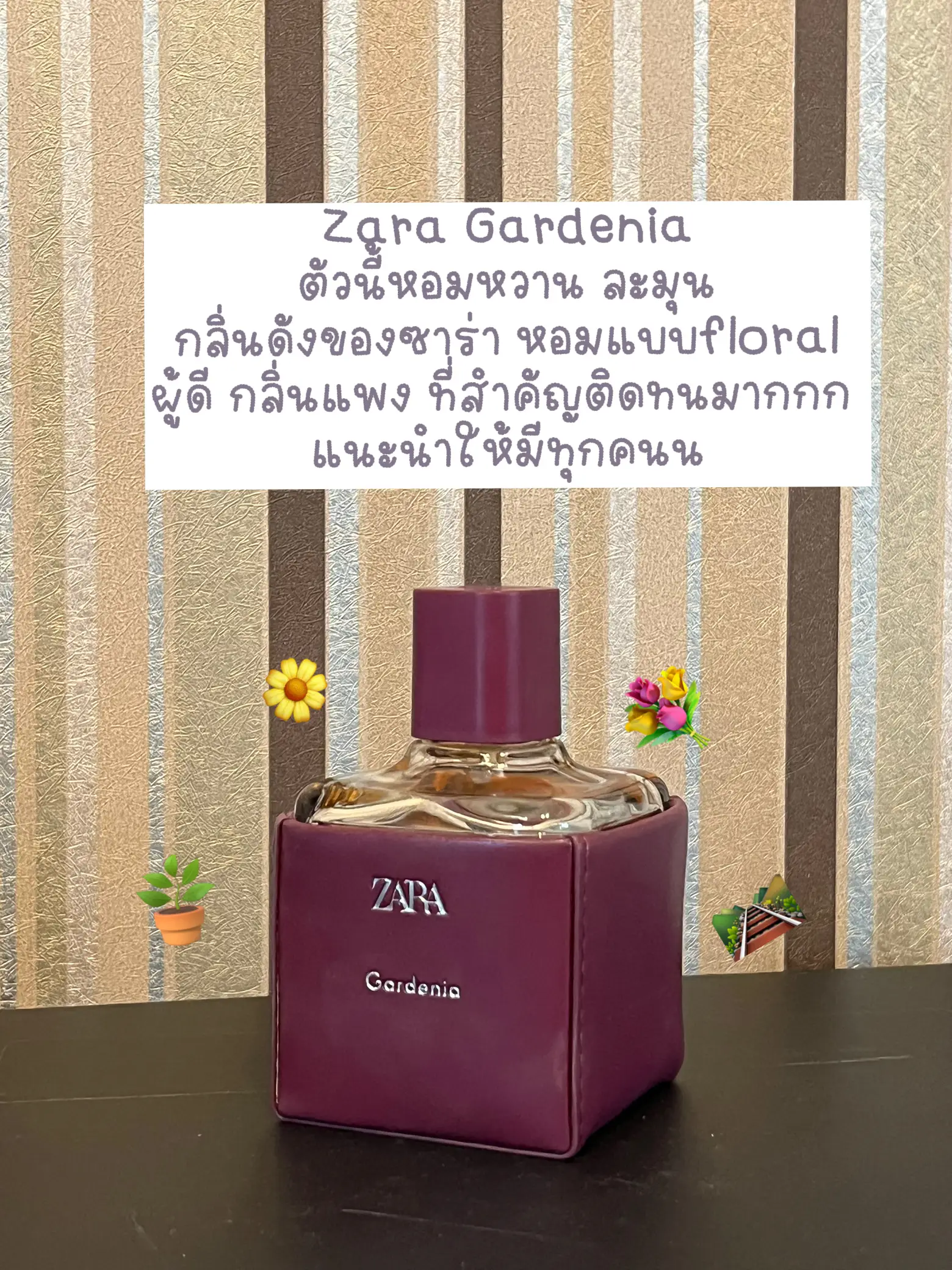 Review best sale zara gardenia