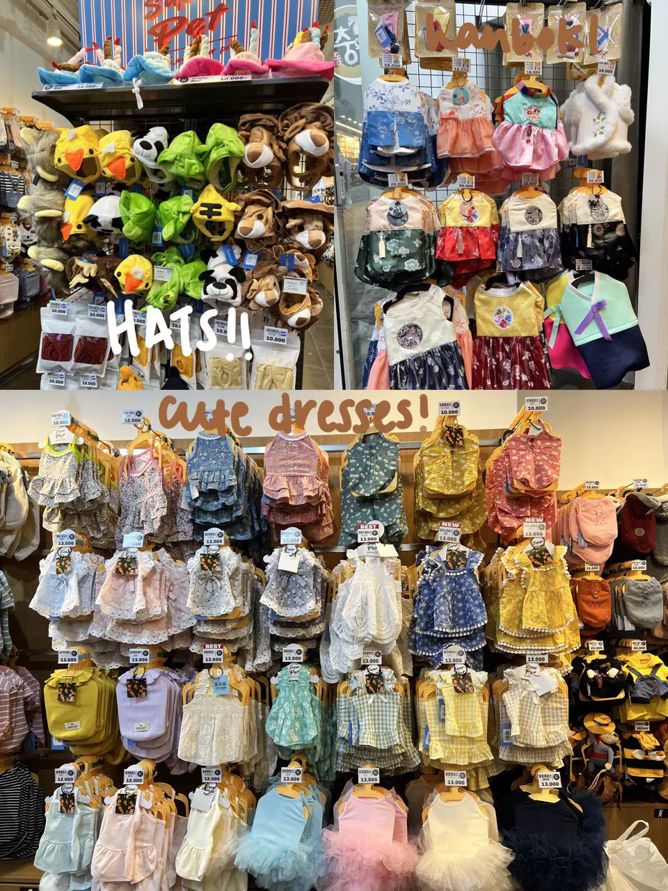 affordable pet accessories in Myeongdong Gallery posted by