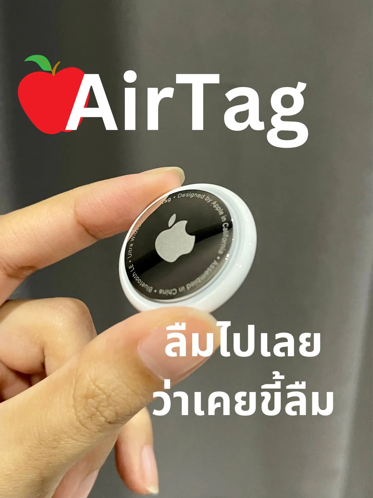 AirTag 新品未使用 D-style Apple AirTag 本体×3コ 新品・未使用 D-