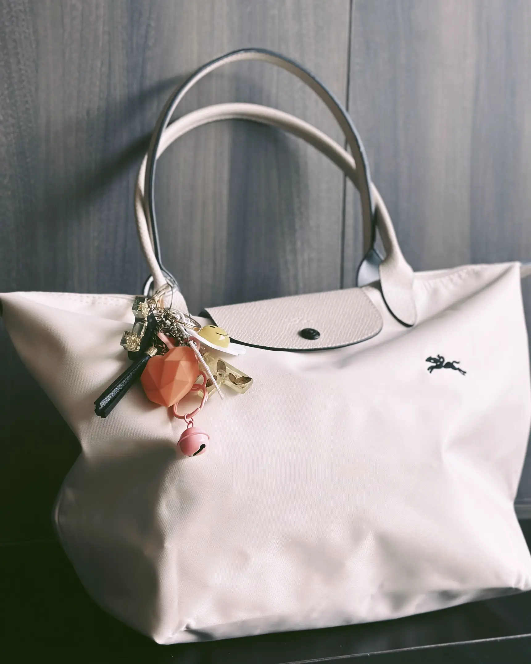 $35 longchamp mini le pliage dupe from taobao👜🫢, Gallery posted by Mandy  Wong