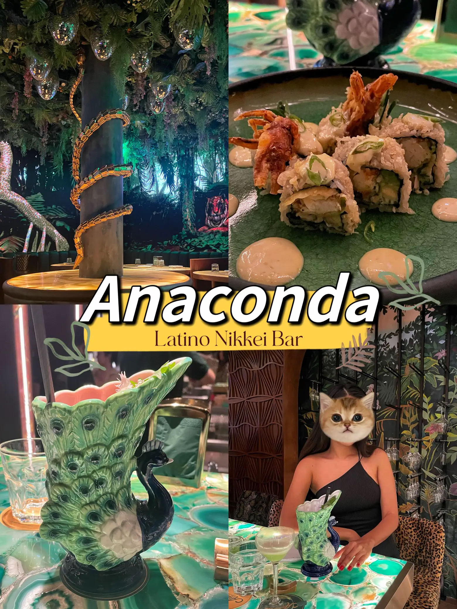 Anaconda Latino Nikkei Bar Latin Theme Bar Forest Feel Encounter Snake🐍😆  | Gallery posted by opal680 | Lemon8