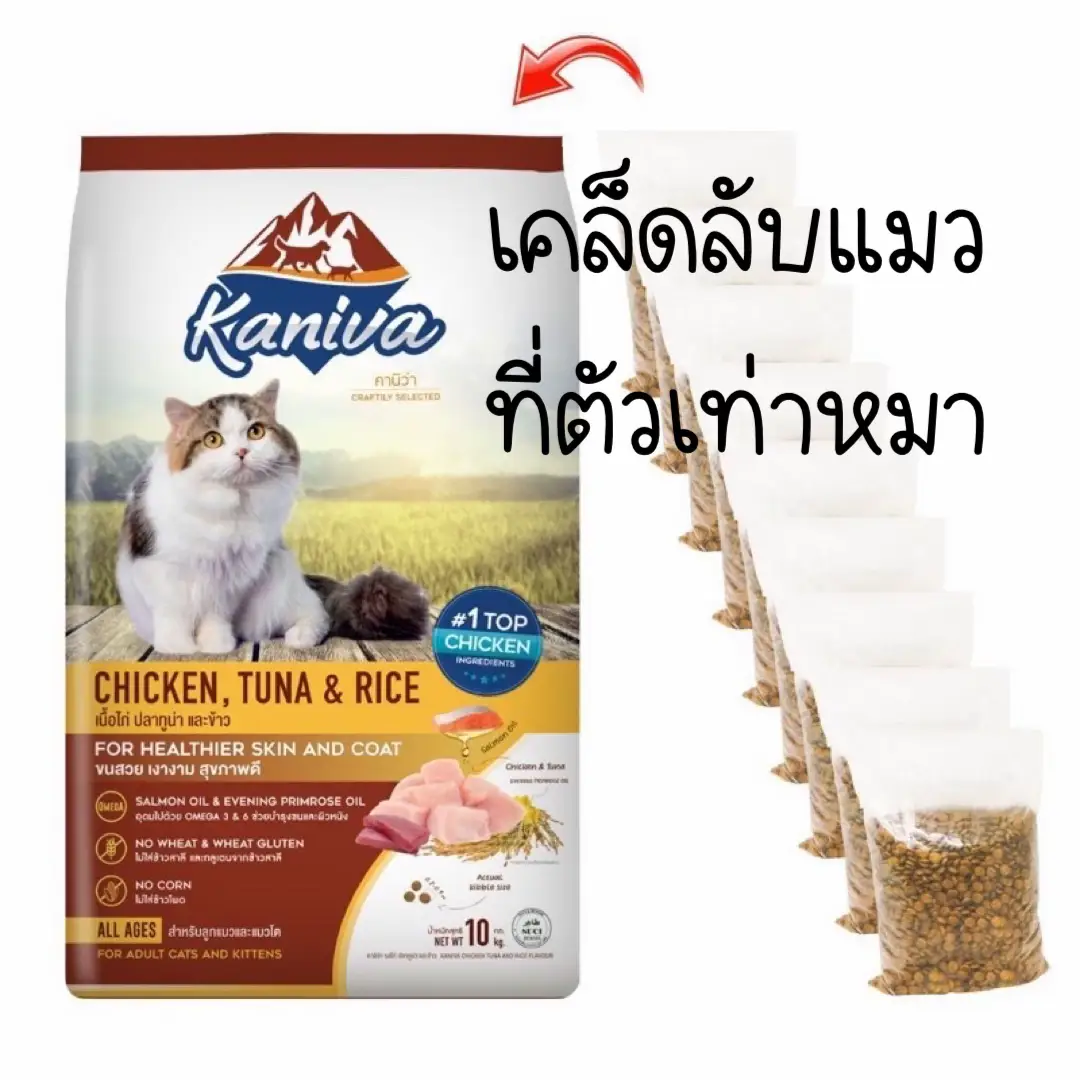 Cat food clearance cost per year