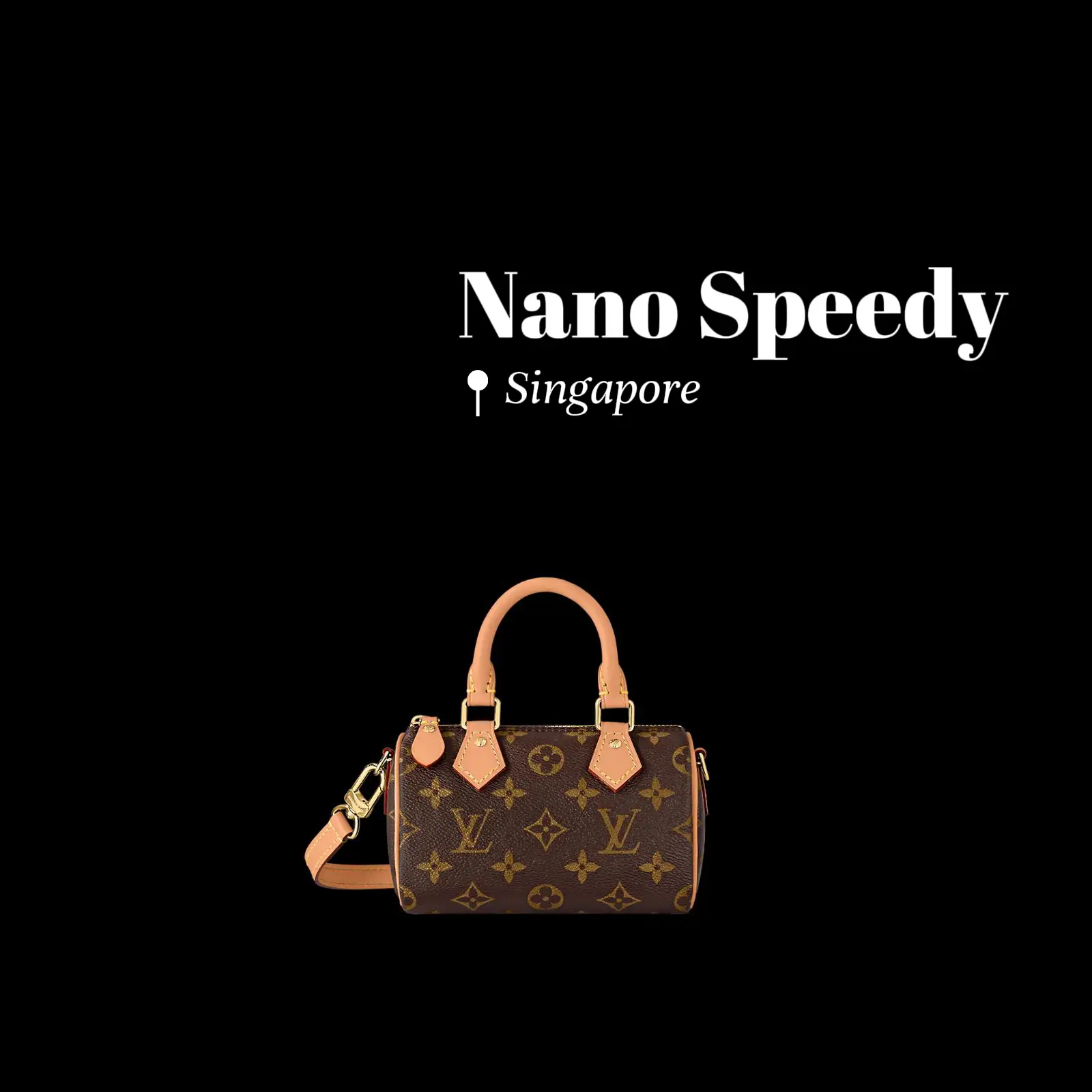 LV Nano Speedy vase — Little Miss Luxury
