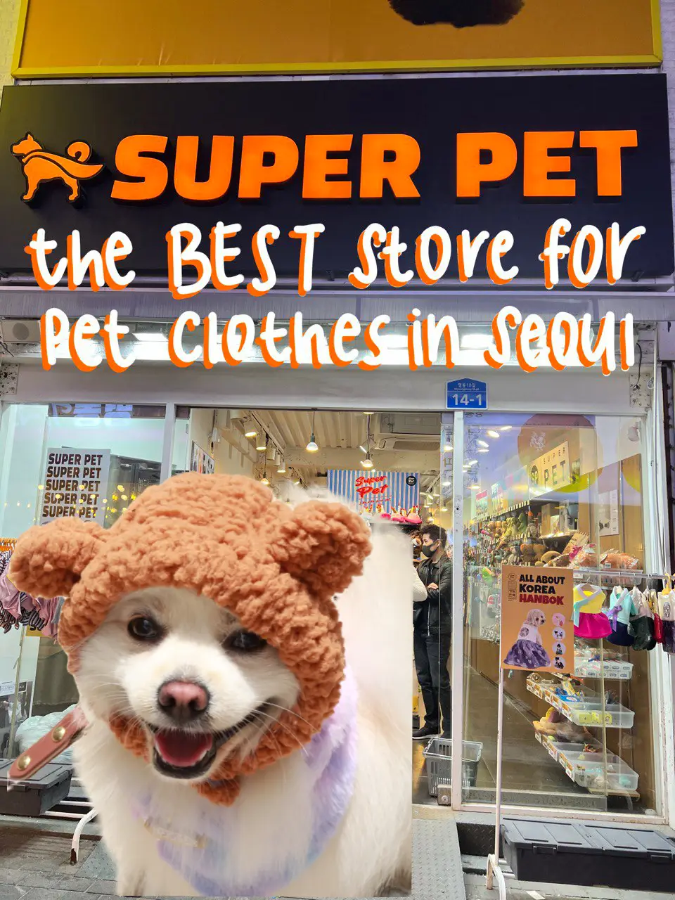 Pet accessories outlet shops near me