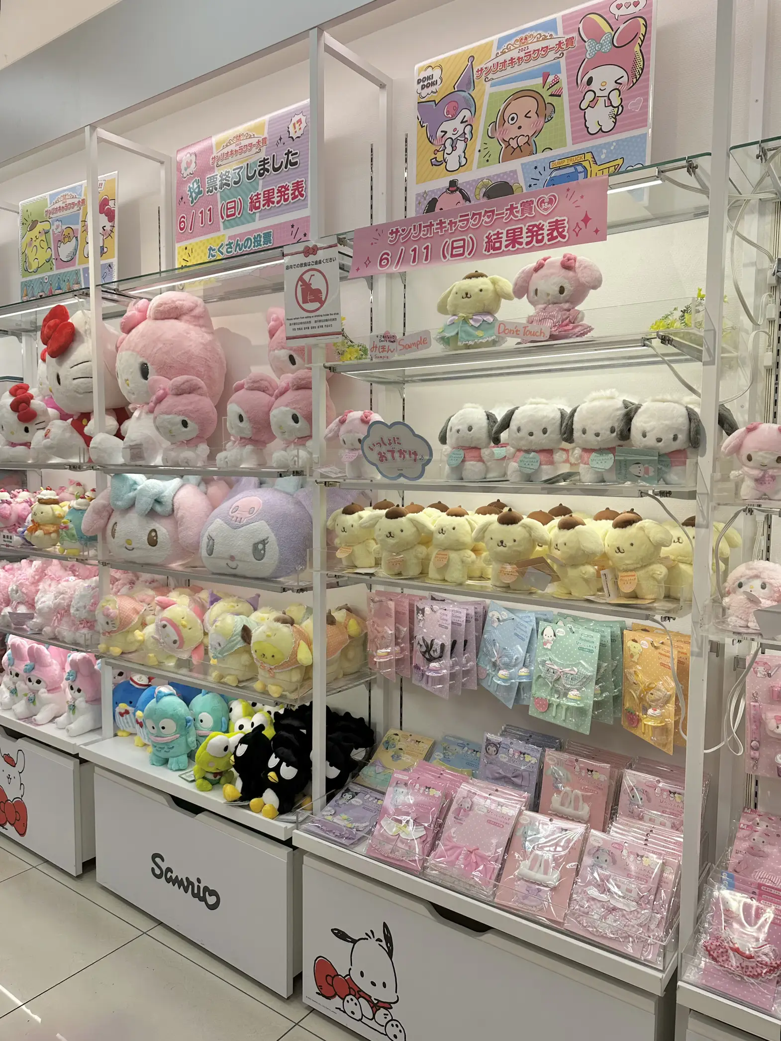 sanrio store 🎀🌸 in 2023  Sanrio store, Sanrio, Sanrio shop