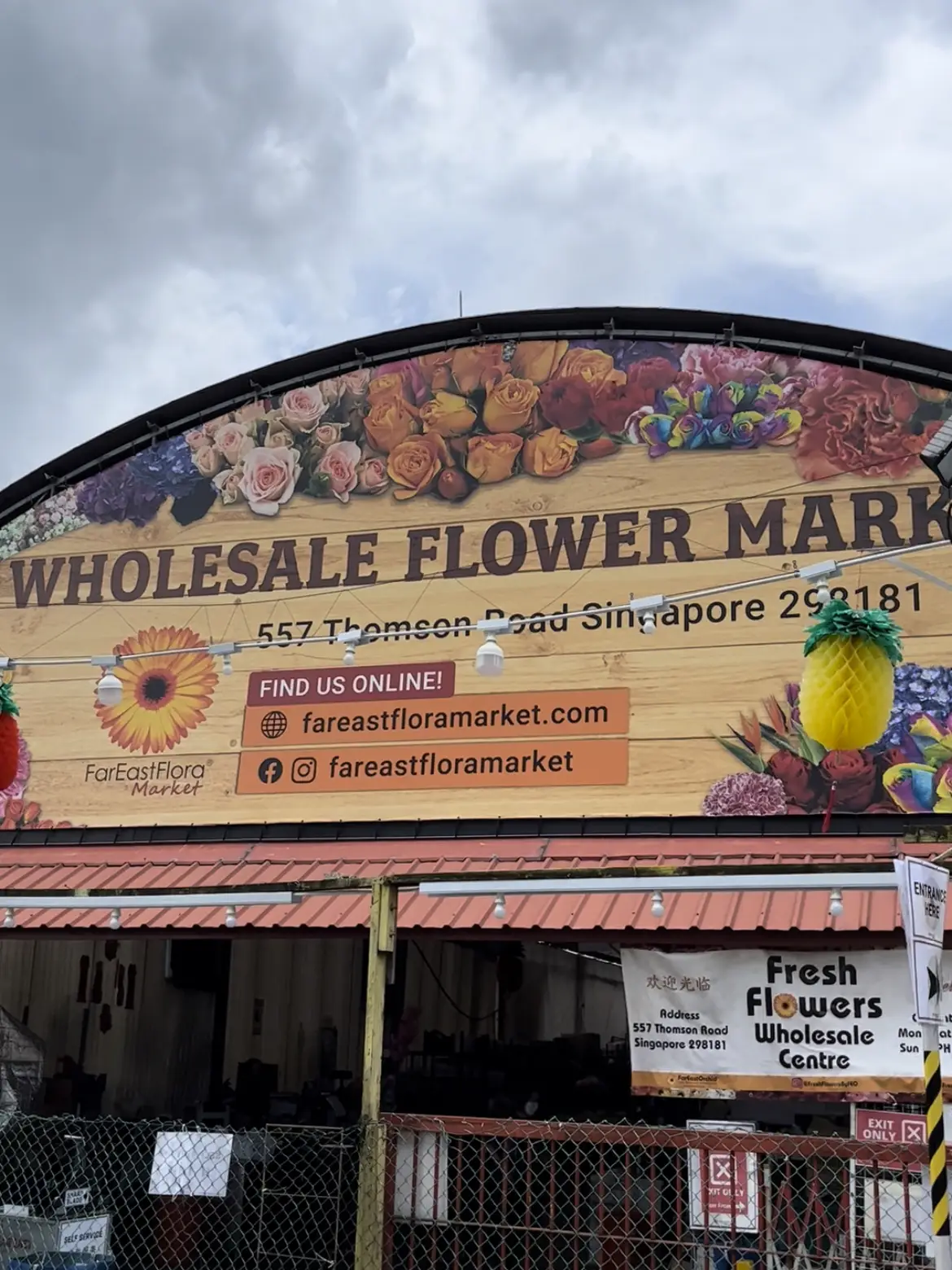 You don’t need someone to buy you flowers💐 แกลเลอรีที่โพสต์โดย Rachel