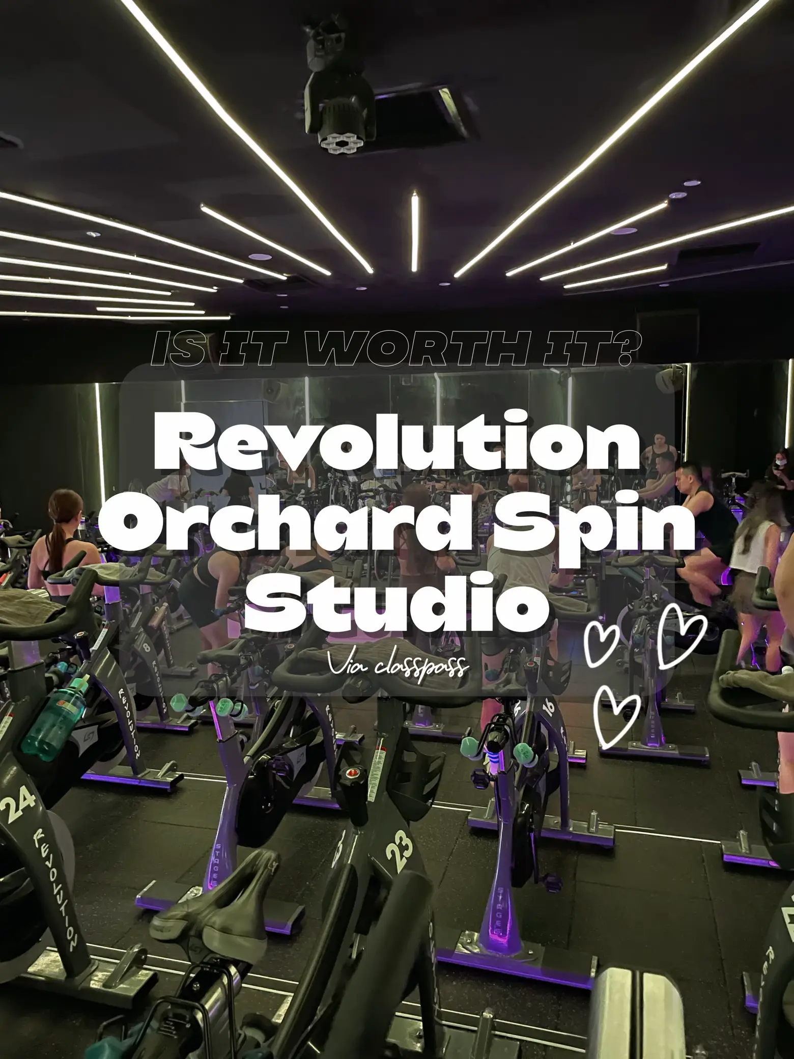 TRY OR PASS Revolution Orchard Spin Studio Gallery posted by