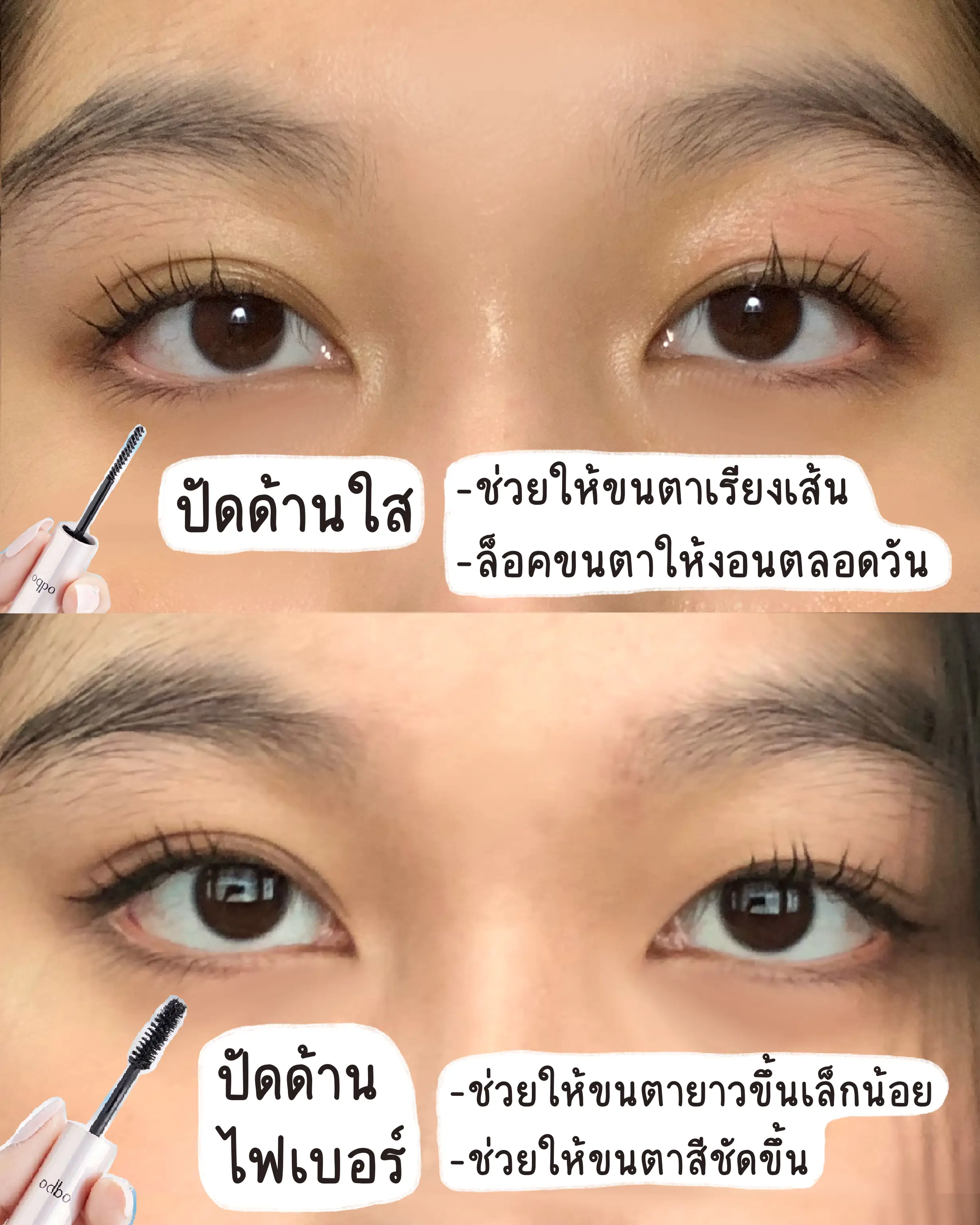 19 ไอเดียยอดนิยมเกี่ยวกับ แต่งตาobdo ในปี 2024