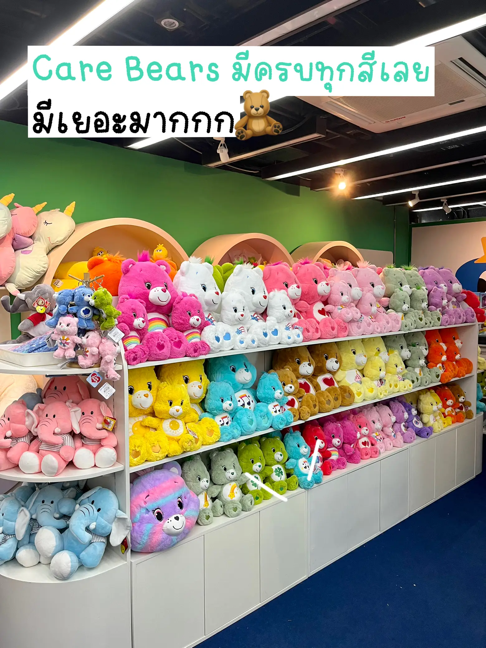 SEEK'N KEEP CLUB แหล่งรวม Care Bears มีเยอะมาก! 👀🧸🎀 แกลเลอรีที่โพสต์