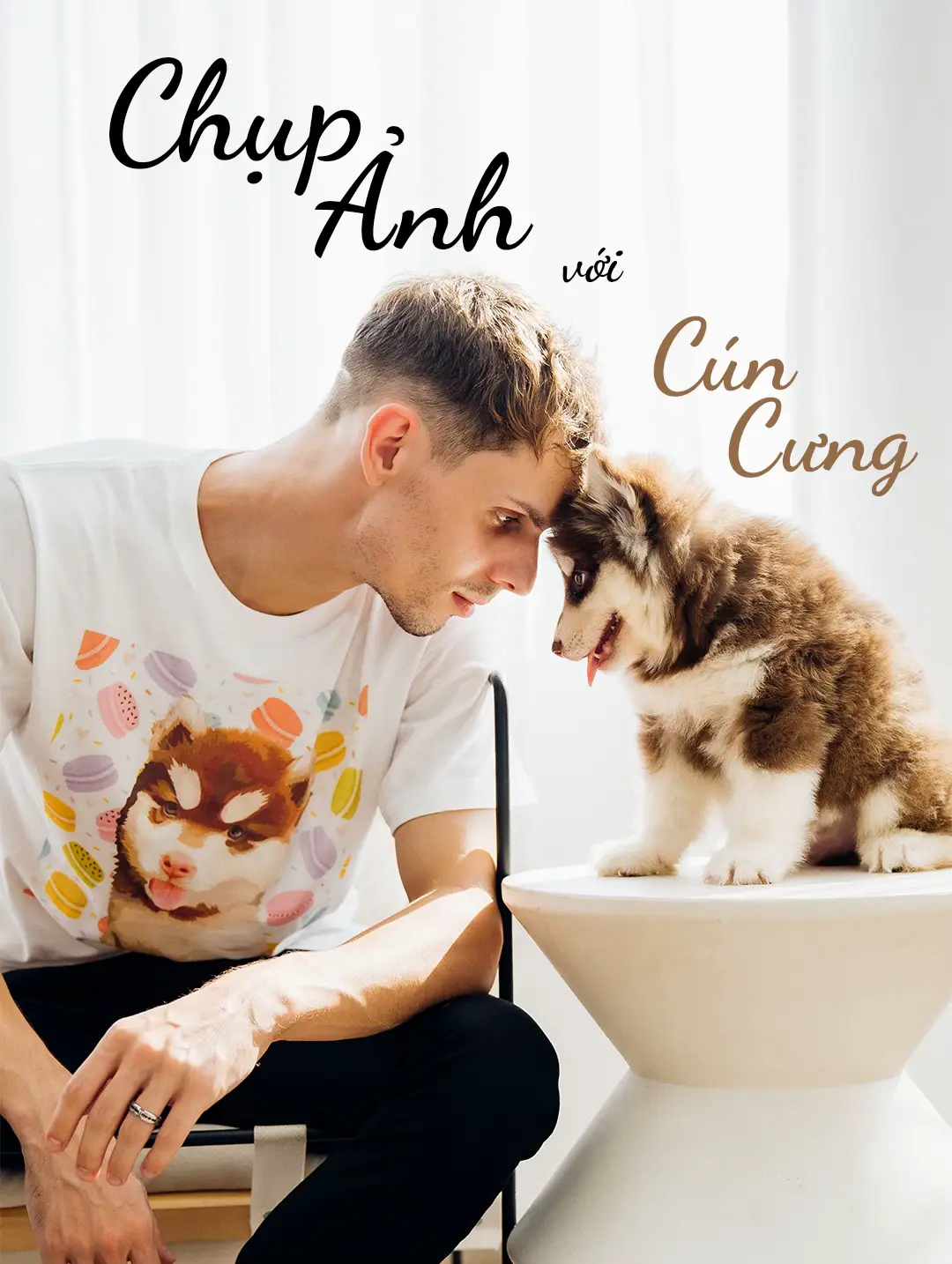 Các lưu ý khi chụp ảnh với thú cưng tổng hợp concept