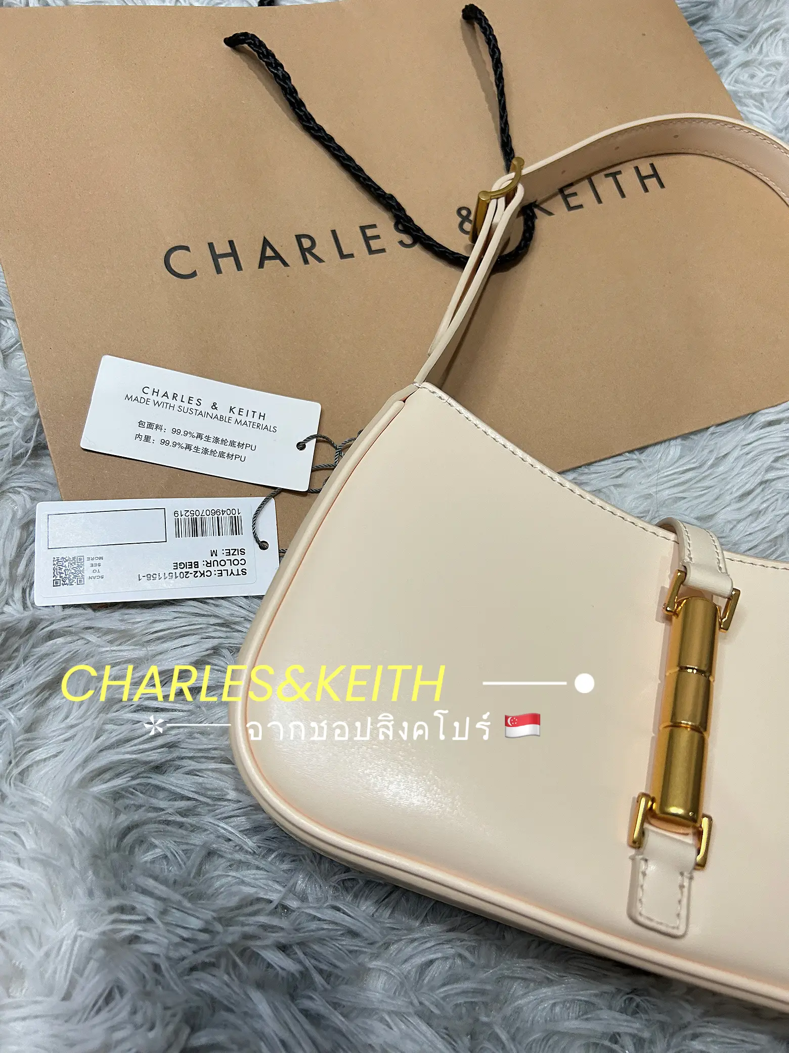 Charles and keith hot sale bag sg