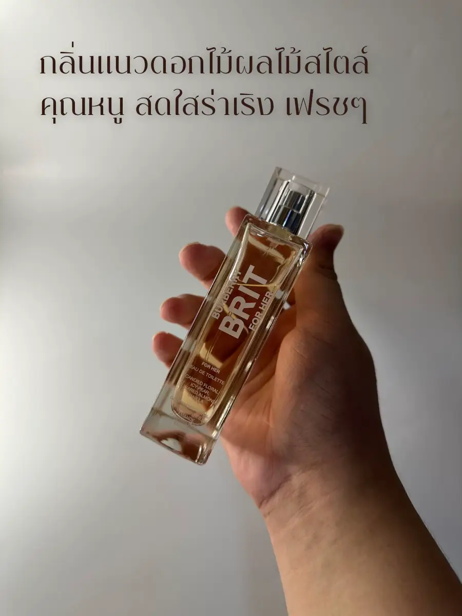 Burberry brit shop sheer dupe