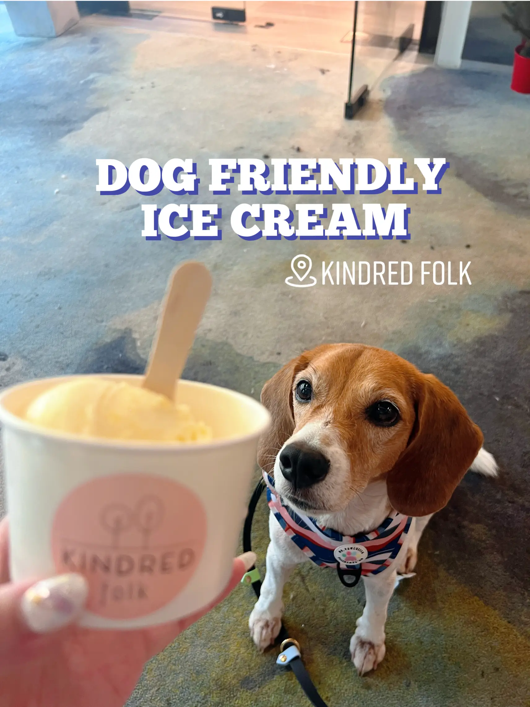 Handmade Ice Cream Scoops by ShopDog Turnery