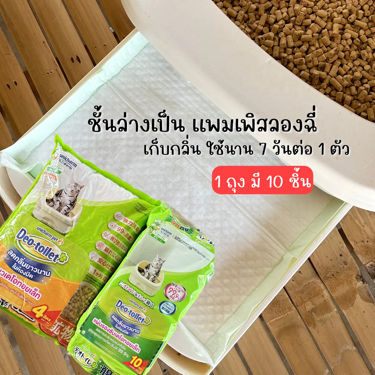 Dustless Cat Sand Review. It lasts very long. Gallery posted by Rapart art Lemon8