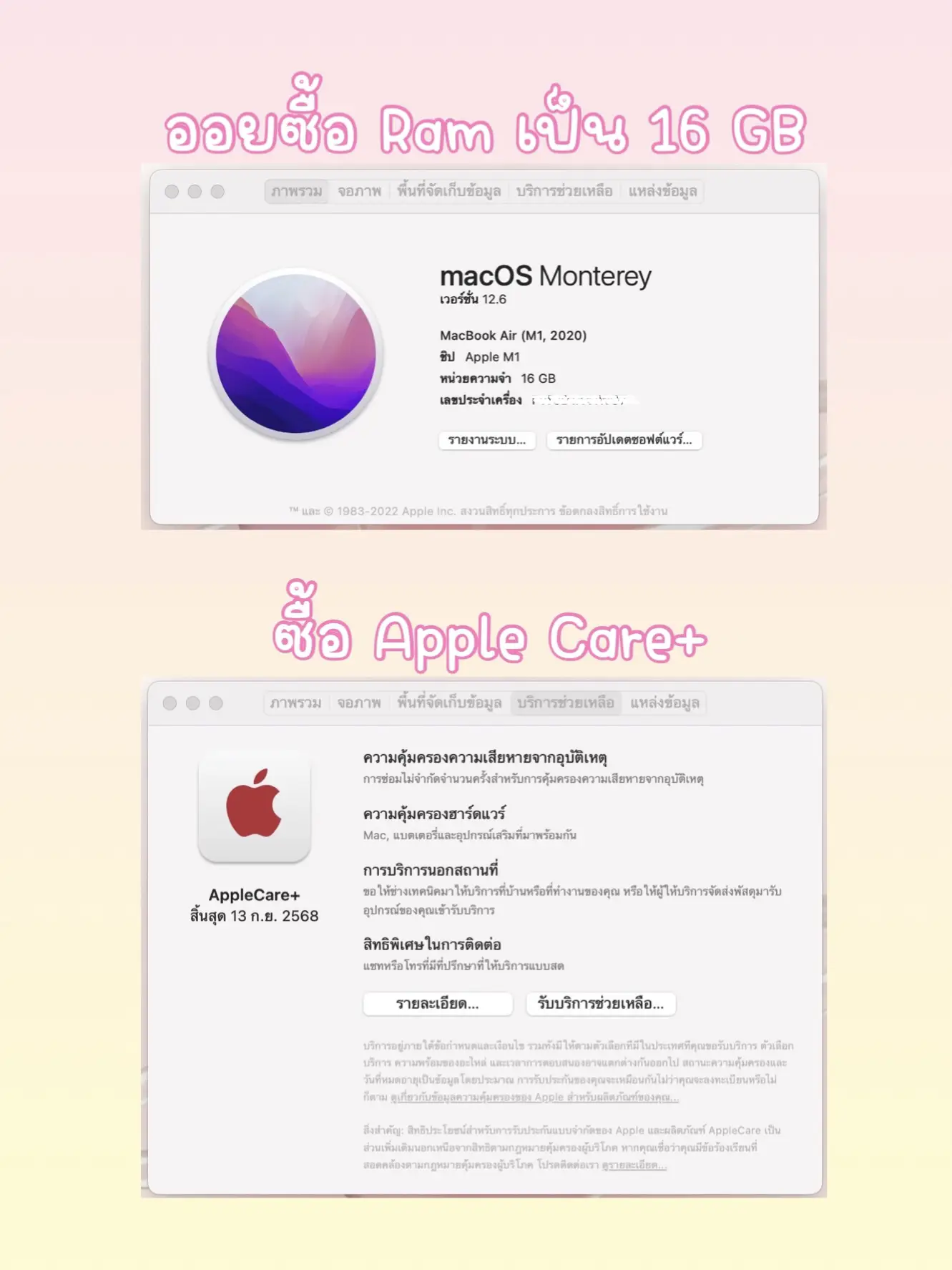 【外装美品】【充放電回数57!!】MacBookAir2020 M1 256/8